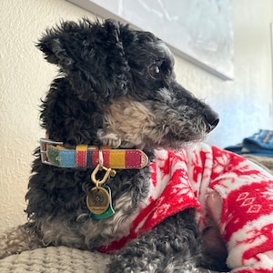 Maddie added a photo of their purchase