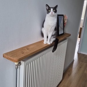 Sydney added a photo of their purchase