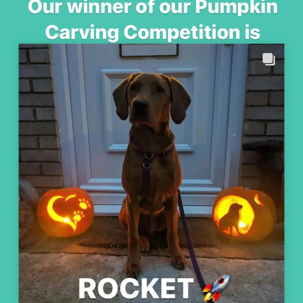 Dog Pumpkin Stencil, Labrador Retriever Printable, Jack O' Lantern