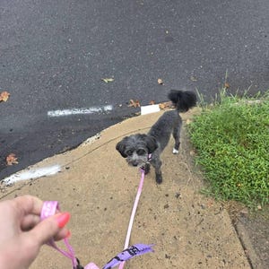 Elle added a photo of their purchase