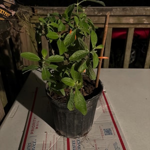 Debra added a photo of their purchase
