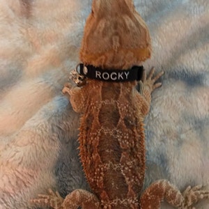 Holly added a photo of their purchase