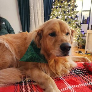 Kaitlyn heeft een foto van zijn/haar aankoop toegevoegd