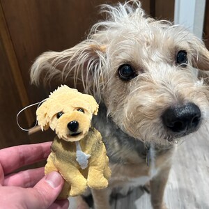 Katie added a photo of their purchase