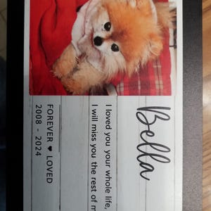 Fran added a photo of their purchase