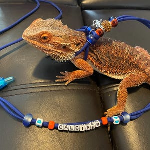 Holly added a photo of their purchase
