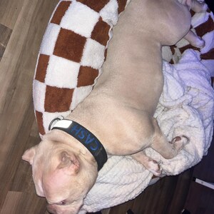 Joselyn added a photo of their purchase