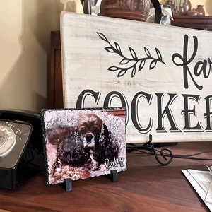 Tammy added a photo of their purchase