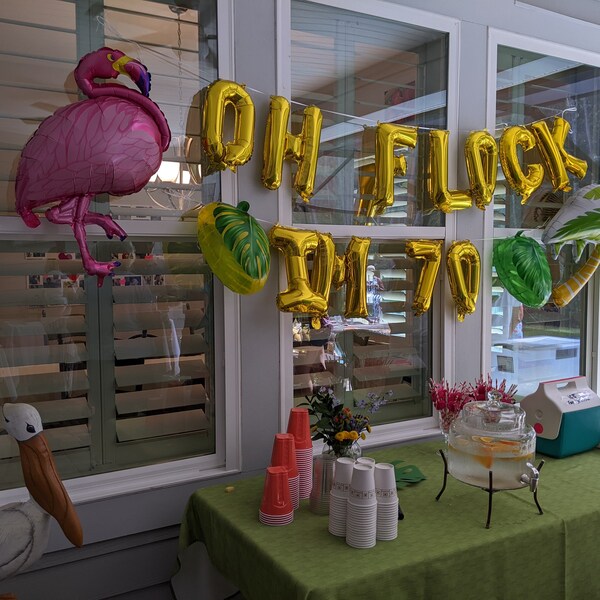 Oh Flock I'm 70 Geburtstags-Banner – Glitzernd, 177 Cm, Für Hawaii-Party & Foto-Props