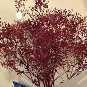 Andrea added a photo of their purchase