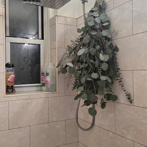 betzaly added a photo of their purchase