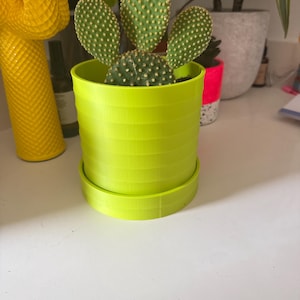 Catriona added a photo of their purchase