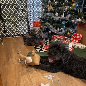 Emma a ajouté une photo de son achat