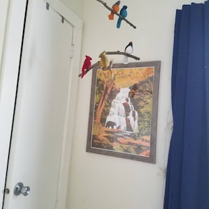 Remy added a photo of their purchase