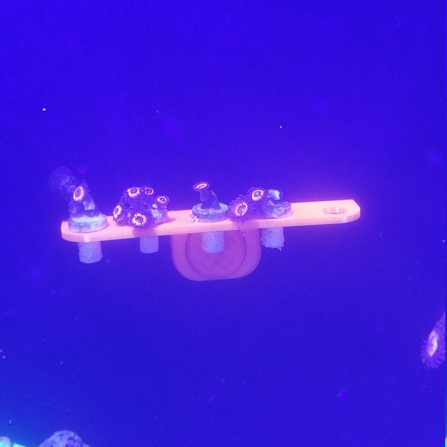 frag rack