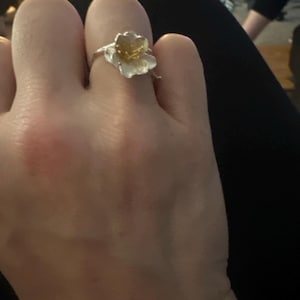 Kathrine heeft een foto van de aankoop toegevoegd