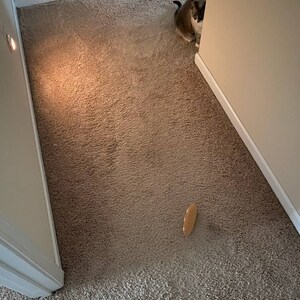 Ash added a photo of their purchase