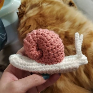 Haley added a photo of their purchase