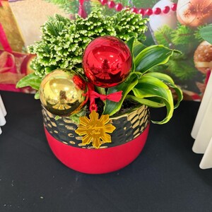Sheelah さんが購入した商品の写真を追加しました