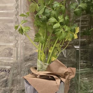 Ashley added a photo of their purchase