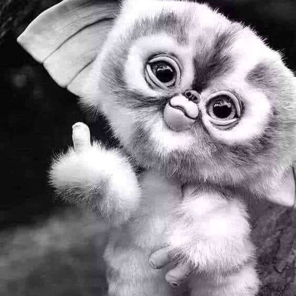 USS Constellation CV-64 US Navy Aircraft Carrier Navy Veteran T-shirt ...