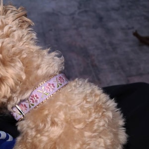 Maggie ha añadido una foto de su compra