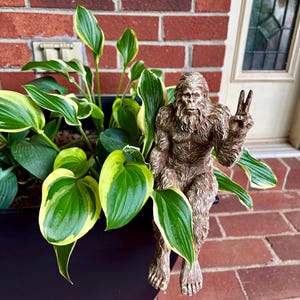 Amanda added a photo of their purchase