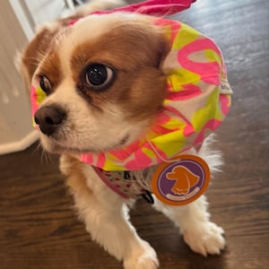 Mel added a photo of their purchase