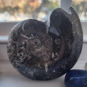 christina added a photo of their purchase