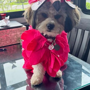 Jeanie added a photo of their purchase