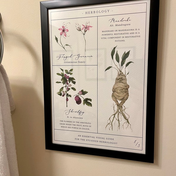 Herbology Chart A4 Print Set - Etsy