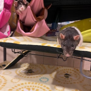Vivienne ha añadido una foto de su compra