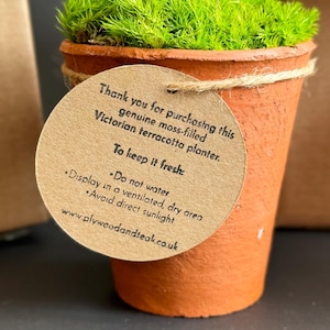 plywoodandteak added a photo of their purchase