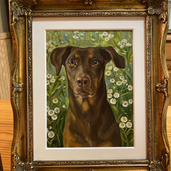 Custom Pet Portrait Oil Painting – Realistic Dog Canvas Art - Etsy
