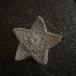 Rose added a photo of their purchase