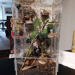 Cody added a photo of their purchase