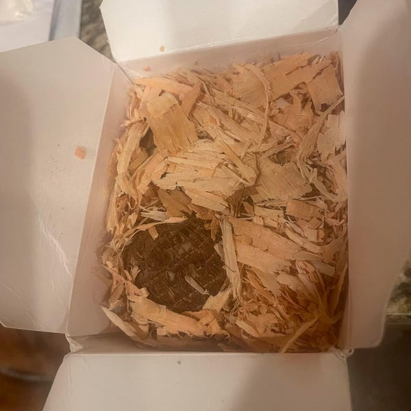 Lampadine Organiche Crude Del Finocchio Pronte Alla Cottura Casella Di Legno Isolata Image74480517 - Foto 10