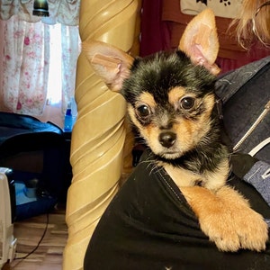 Betty ha aggiunto una foto del proprio acquisto