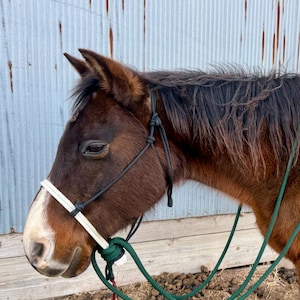 Whitney added a photo of their purchase