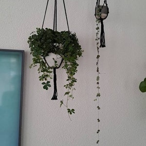 Hanne ha añadido una foto de su compra