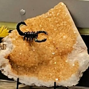 Melinda lade till en bild av sitt köp
