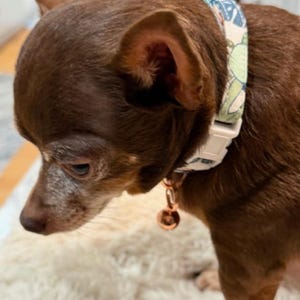 Bev added a photo of their purchase