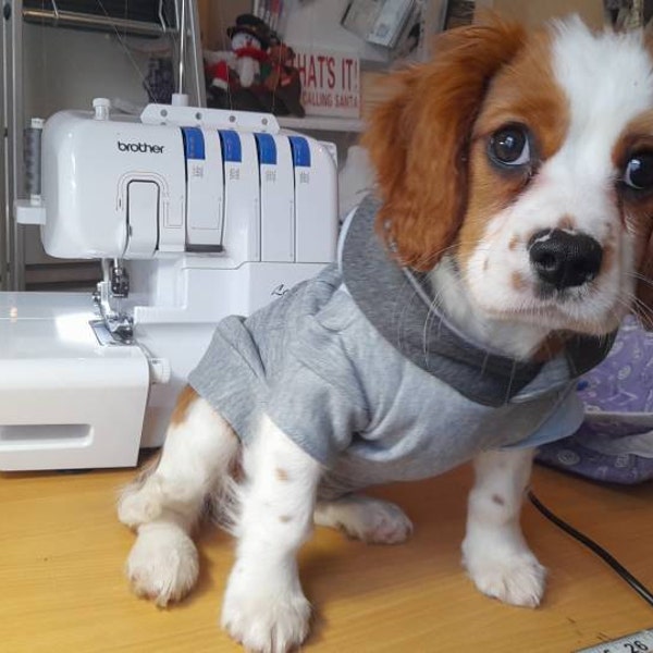 Dog Hoodie Sewing Pattern for Big or Small Dogs XS-XXL, Puppy Clothes ...