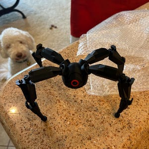 Adam adicionaram uma foto da sua compra