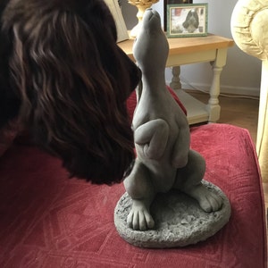 Christine ha aggiunto una foto del proprio acquisto