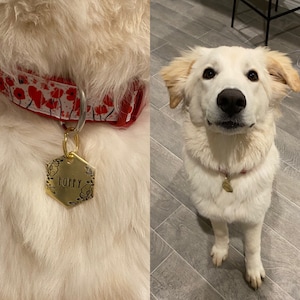 Mallory added a photo of their purchase