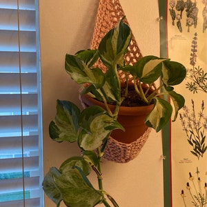 Anne added a photo of their purchase