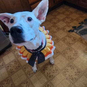 s added a photo of their purchase