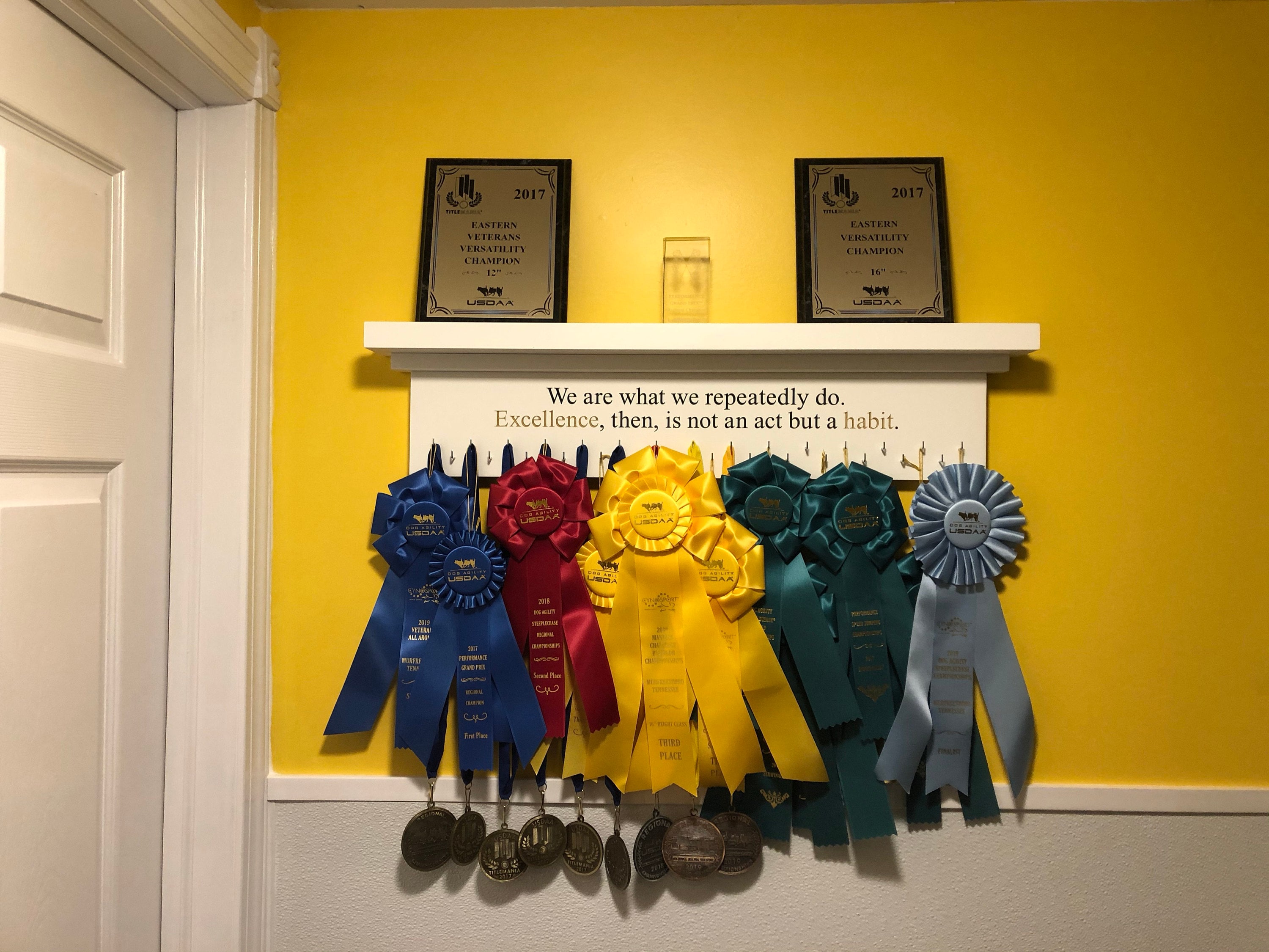 Medal Holder Champions Engraved Trophy Shelf Ribbon Holder Medal Hanger Award Display Personalized gift Trophy Rack Sports Award Display 30"