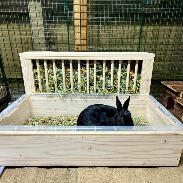 Rabbit Dig Box Indoor Use Only - Etsy